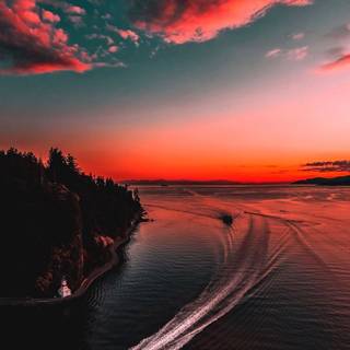 Natural 4k Android wallpaper