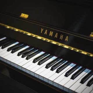 Grand piano 4k wallpaper
