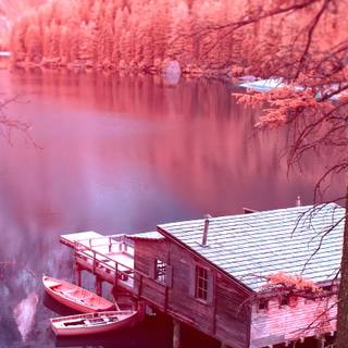 Natural 4k Android wallpaper