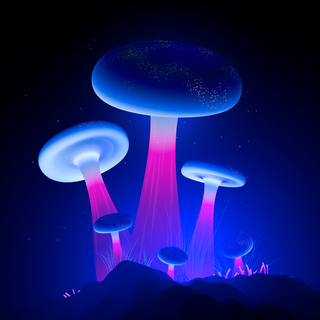 4k mushrooms wallpaper