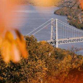 Fall 4k phone wallpaper