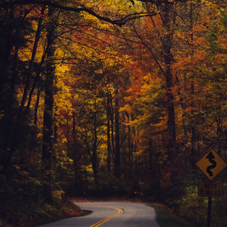 Fall 4k phone wallpaper