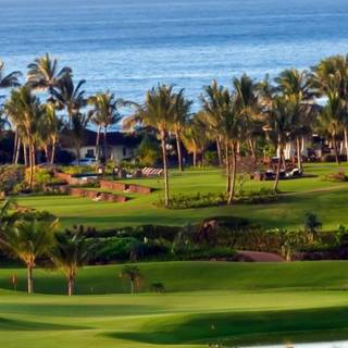 Golf course iPhone wallpaper