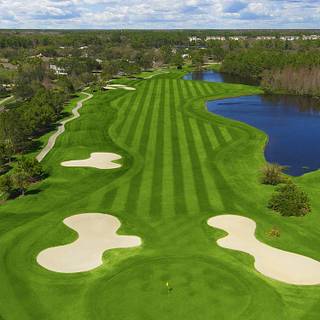 Golf course iPhone wallpaper