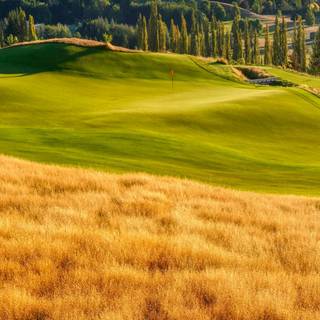 Golf course iPhone wallpaper