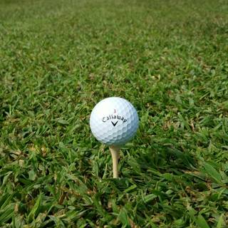 Golf course iPhone wallpaper