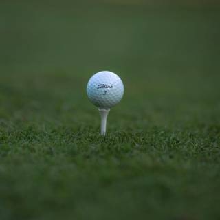 Golf course iPhone wallpaper