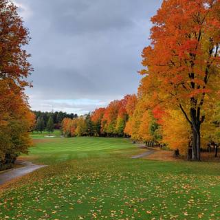 Golf course iPhone wallpaper