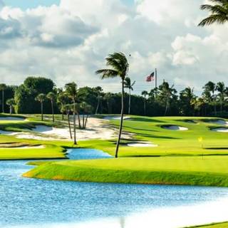 Golf course iPhone wallpaper