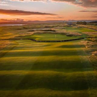 Golf course iPhone wallpaper