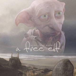 Dobby phone wallpaper