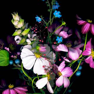 iPhone 16 Plus wallpaper