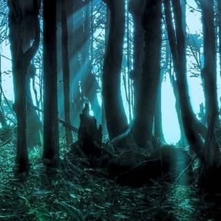 Fantasy forest phone wallpaper