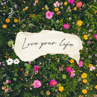 Phone stickers wallpaper