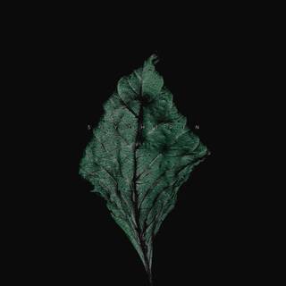 Aesthetic dark iPhone wallpaper