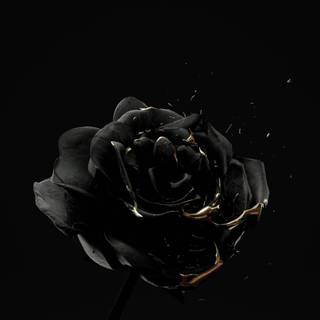 Aesthetic dark iPhone wallpaper