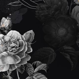 Aesthetic dark iPhone wallpaper