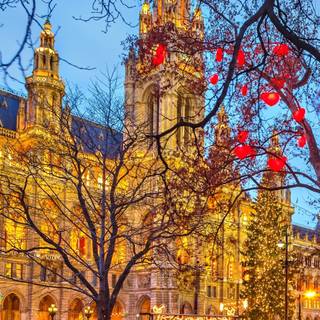 Vienna iPhone wallpaper