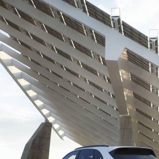 Cayenne iPhone wallpaper