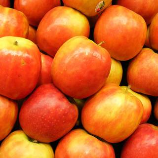 Fruit laptop wallpaper