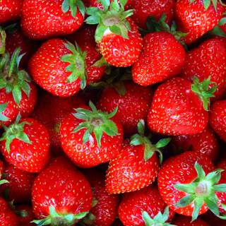 Fruit laptop wallpaper