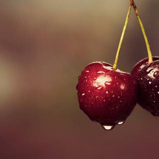 Fruit laptop wallpaper