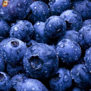 Fruit laptop wallpaper