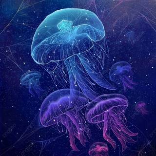 Jelly art wallpaper