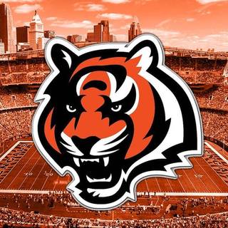 Aesthetic Bengals computer wallpaper