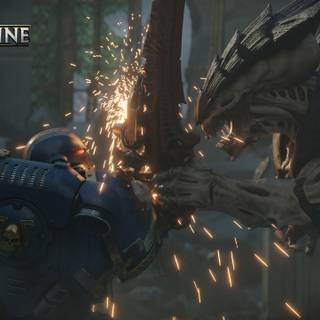 Space Marine desktop wallpaper