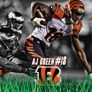 Aesthetic Bengals computer wallpaper