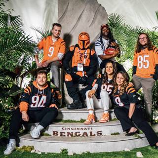 Aesthetic Bengals computer wallpaper