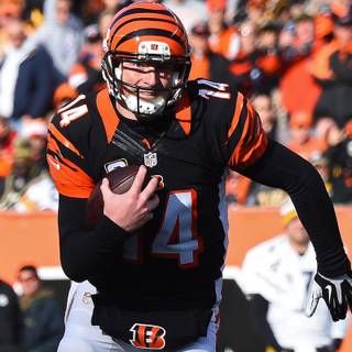 Aesthetic Bengals computer wallpaper