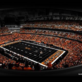 Aesthetic Bengals computer wallpaper