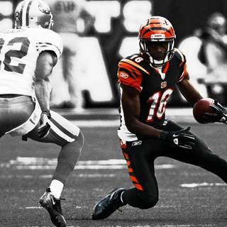 Aesthetic Bengals computer wallpaper