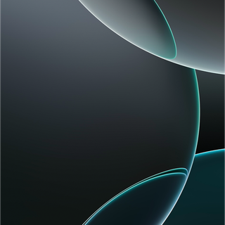 iPhone 16 Plus wallpaper