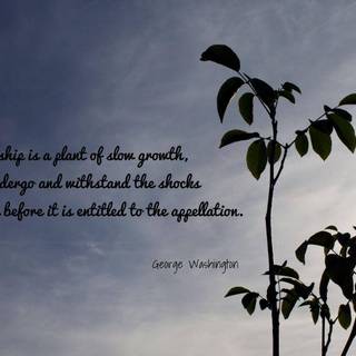 Friendship sad wallpaper