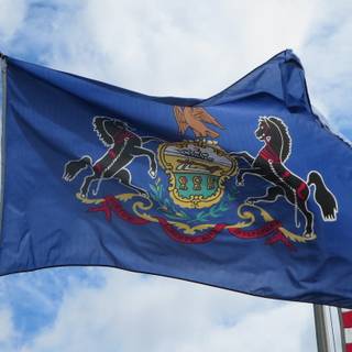 American region flag wallpaper