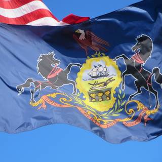 American region flag wallpaper