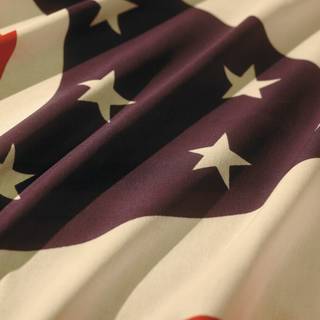 American region flag wallpaper