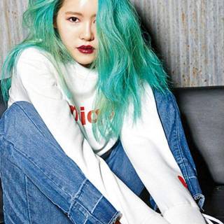 Suran wallpaper