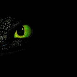 Night Fury phone wallpaper