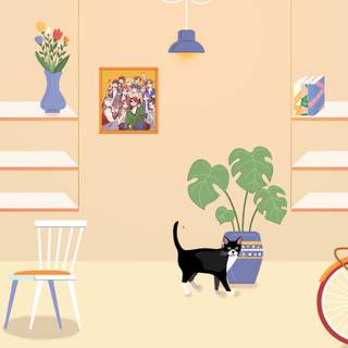 Shelves desktop wallpaper