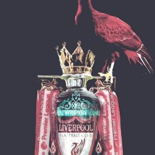 Liverpool trophy wallpaper