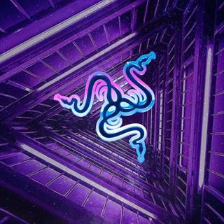 Razer neon wallpaper
