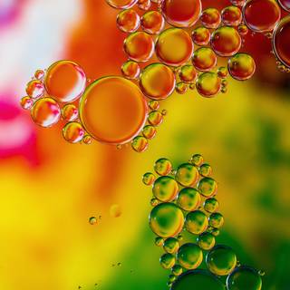 Transparent phone wallpaper