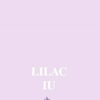 Plain lilac wallpaper
