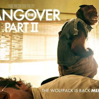 The Hangover Part II wallpaper
