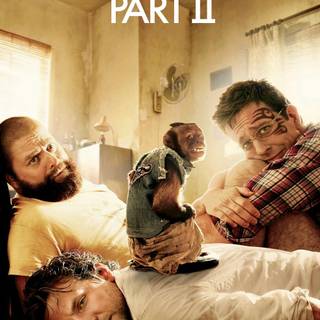 The Hangover Part II wallpaper