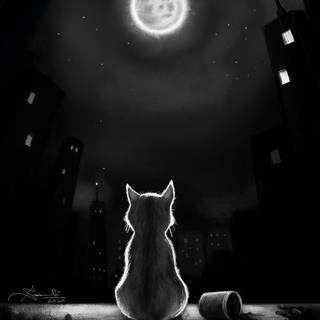 Lonely cat wallpaper